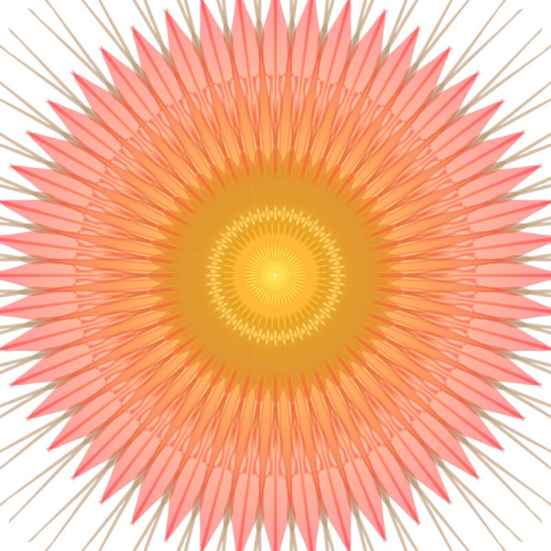 Rainbow Flower Thumbnail