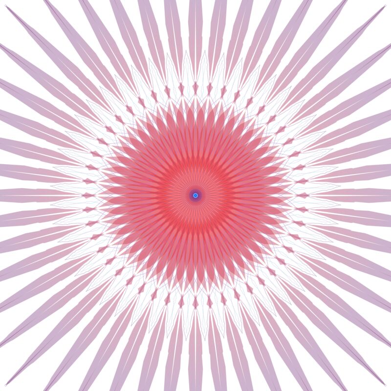 Enchanting Flower Thumbnail