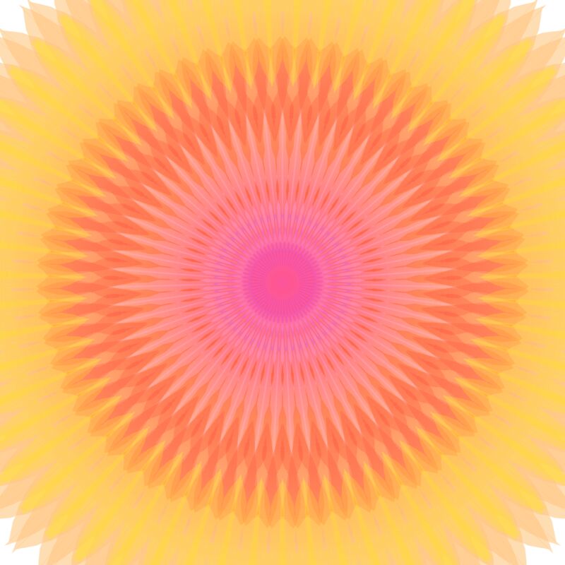 Orange Rose Thumbnail